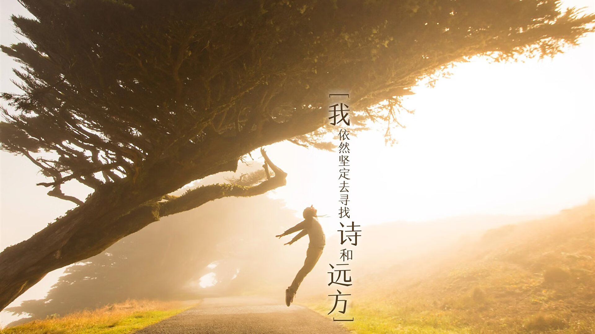 罗马注重节奏变化掌控整体局势，罗马阶段